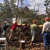 環境研究部会ワークショップ開催 森の小屋づくり ワークショップ2