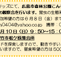 もりメイトキッズ 第2回「昆虫観察会」のお知らせ 案内