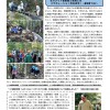 活動報告