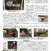 １１月例会報告