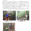 １月活動報告