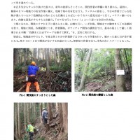 出前間伐部会2019年1月活動報告 1月活動報告