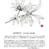 今月の一枝　2019.9