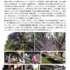 10 月例会 ~妙國寺スクゥスクゥの森 整備~ in 白木町三田秋山 10 月例会 ~妙國寺スクゥスクゥの森 整備~ in 白木町三田秋山
