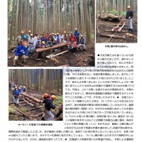 11月例会 木馬での集材 11月例会 木馬での集材