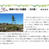 いきいき講座8訂正