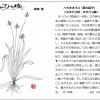 2021年8月　ひと枝