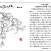 ひと枝