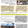 クラフト報告