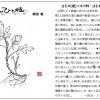 もりの手紙2022年3月号_ひと枝
