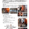 もりの手紙2022年3月号例会報告