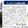 もりの手紙2022年3月号_ブッポウソウ