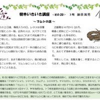 樹木いきいき講座その20HP用_page-0001